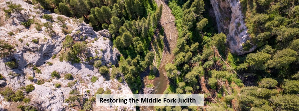 Middle Fork Judith River Restoration Project