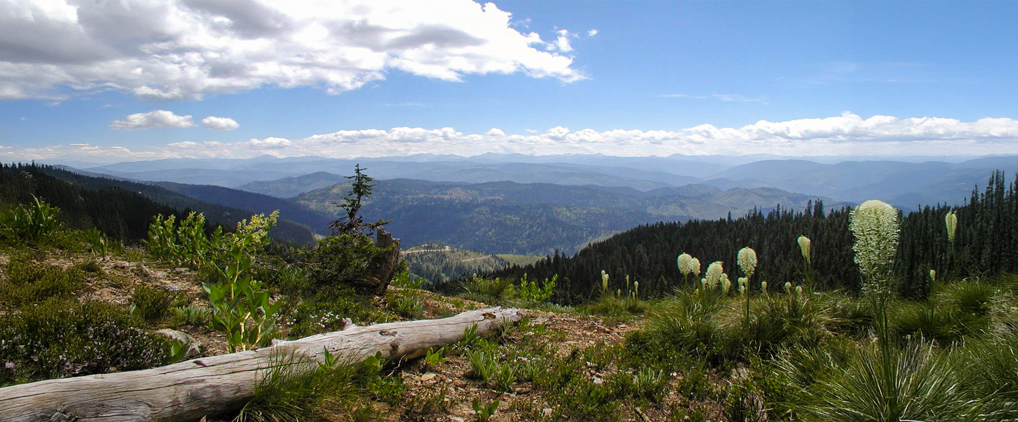 Wendover Ridge Trail