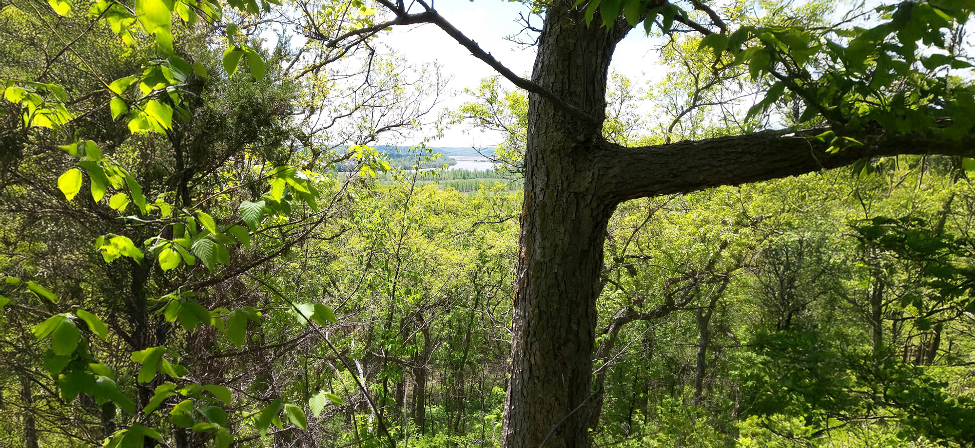 Monkey Mountain Conservation Area