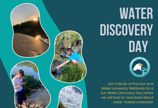 Water Discovery Day